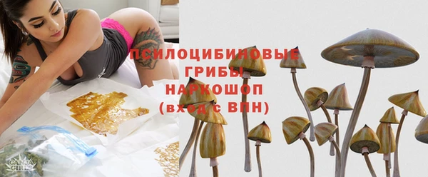 PSILOCYBIN Майский