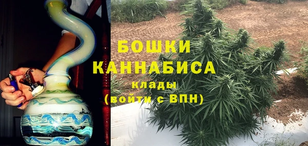 PSILOCYBIN Майский