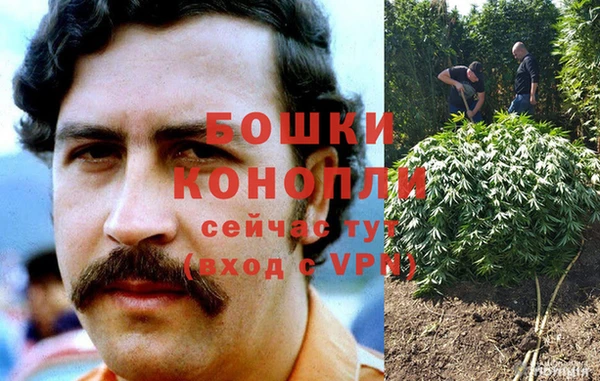 дистиллят марихуана Магас