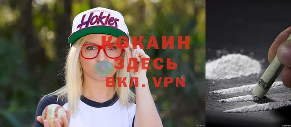 PSILOCYBIN Майский