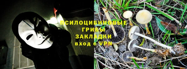 PSILOCYBIN Майский
