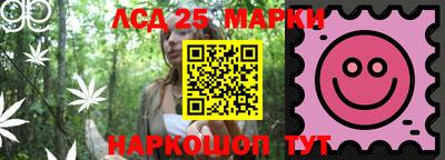 apvp Канаш
