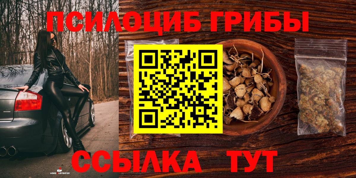 Углич  Галлюциногенные грибы мицелий  Вход с VPN 